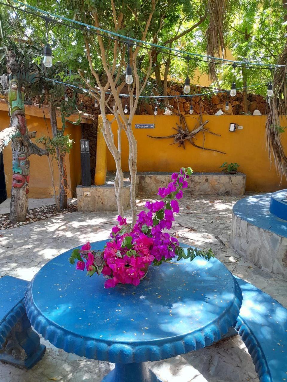 Steviewonderland Playa El Yaque Hotel Exterior photo